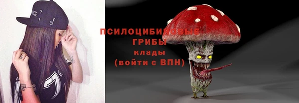 прущая мука Михайлов