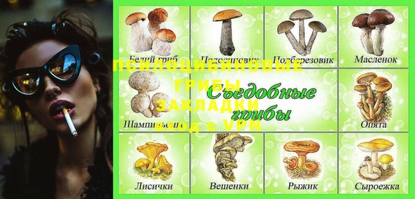 прущая мука Михайлов